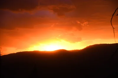 DSC_4570 (Large).JPG